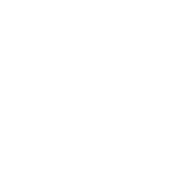 Nana Amoako's Logo